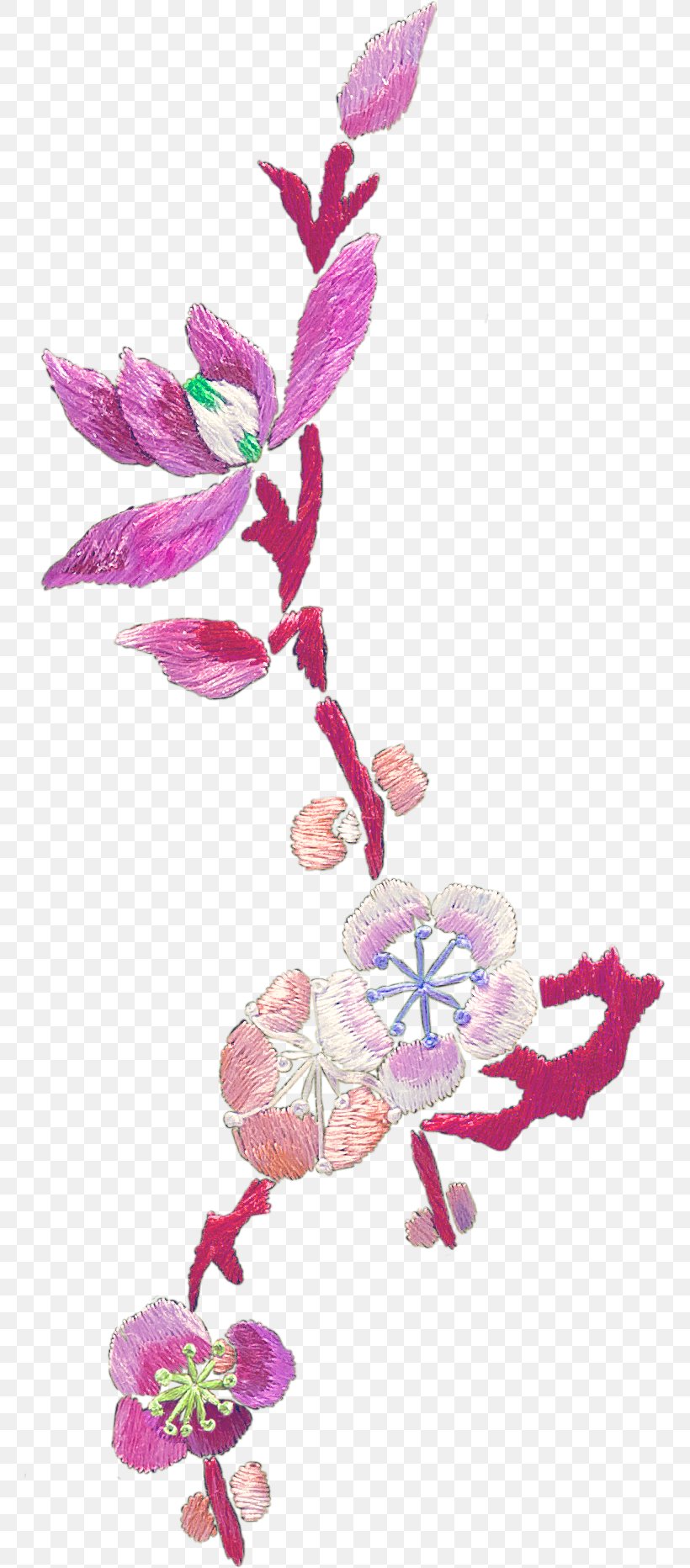 Petal Floral Design Blossom Flower, PNG, 763x1864px, Petal, Blossom, Branch, Cherry, Cherry Blossom Download Free
