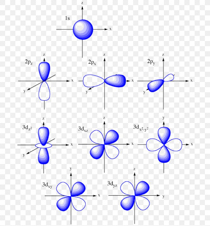 Atomic Orbital Molecular Orbital Pi Bond Principal Quantum Number Orbital Hybridisation, PNG, 695x882px, Atomic Orbital, Area, Atom, Cartesian Coordinate System, Chemical Bond Download Free