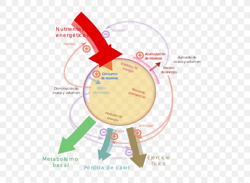 Brand Diagram, PNG, 600x600px, Brand, Diagram, Text Download Free