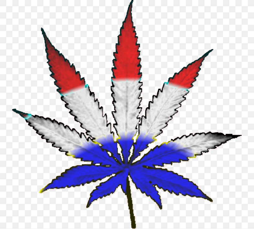 Cannabis Smoking Substance Intoxication Decal Clip Art, PNG, 741x741px, 420 Day, Cannabis, Cannabis Smoking, Decal, Drawing Download Free