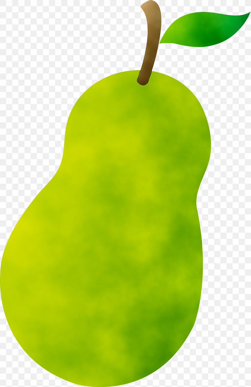 Clip Art Asian Pear Chinese White Pear Image, PNG, 2270x3500px, Asian Pear, Accessory Fruit, Apple, Cartoon, Chinese White Pear Download Free