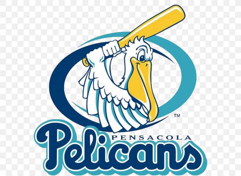 Pensacola Pelicans New Orleans Pelicans Pensacola Blue Wahoos Logo, PNG, 590x600px, Pensacola Pelicans, Area, Artwork, Baseball, Beak Download Free