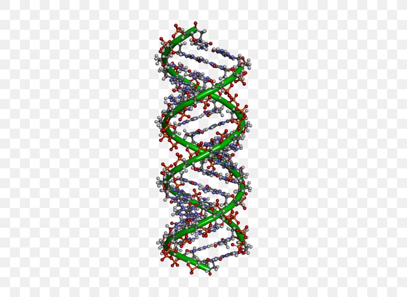 DNA Molecule Cell Nucleus Genetics, PNG, 600x600px, Dna, Amino Acid, Art, Body Jewelry, Cell Download Free