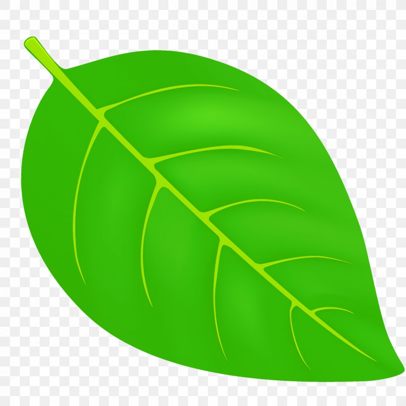 Leaf Green Plant Clip Art, PNG, 1200x1200px, Leaf, Green, Plant Download Free
