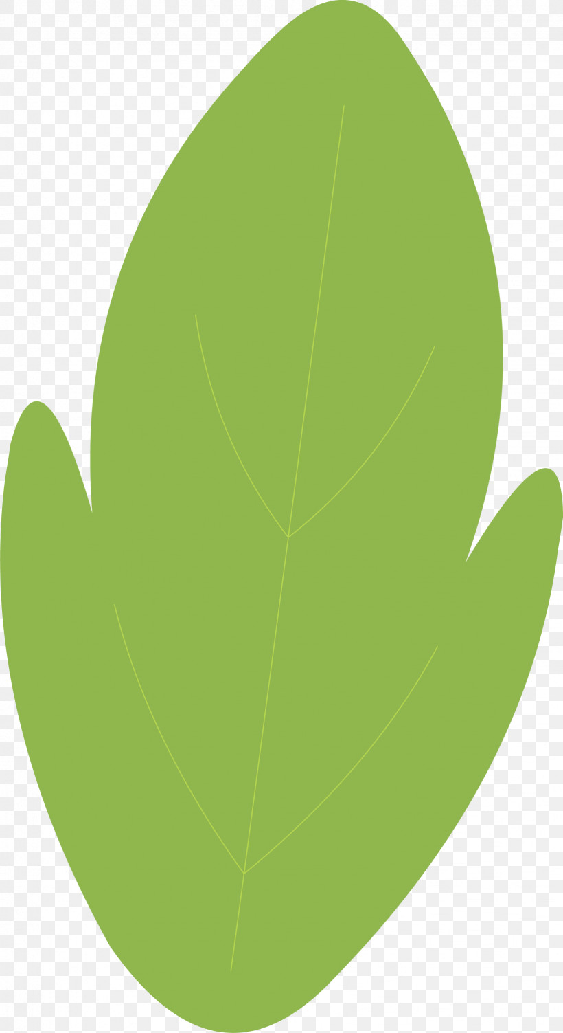 Mexico Elements, PNG, 1636x3000px, Mexico Elements, Biology, Green, Leaf, Plant Structure Download Free