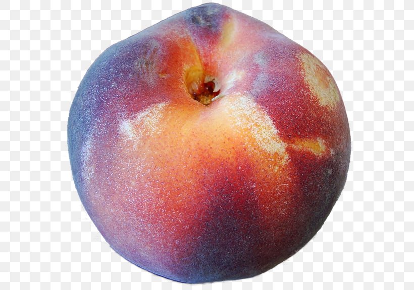 Peach McIntosh Laboratory, PNG, 600x576px, Peach, Apple, Food, Fruit, Mcintosh Download Free