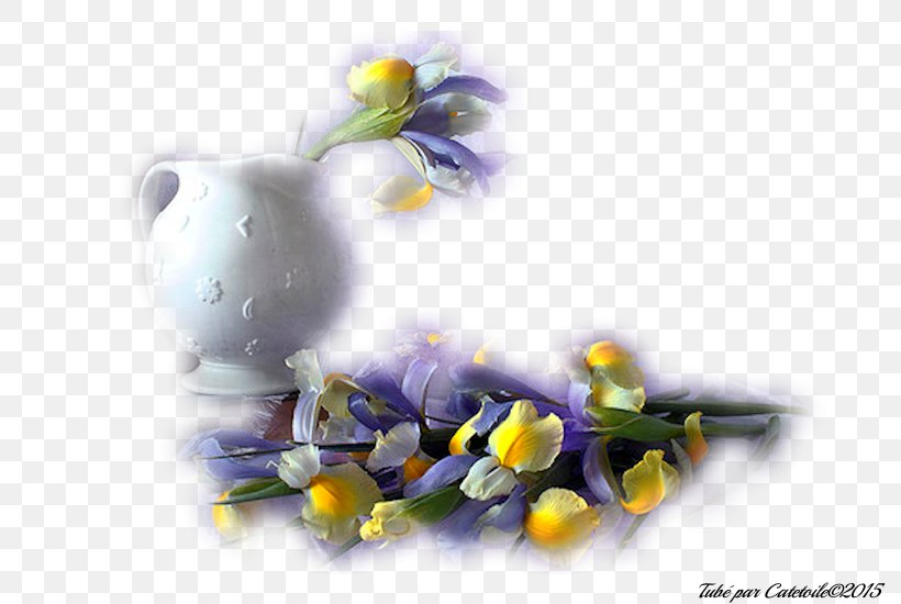 Petal Flower Vase Blue Rose Garden Roses, PNG, 800x550px, Petal, Blue, Blue Rose, Crocus, Flower Download Free