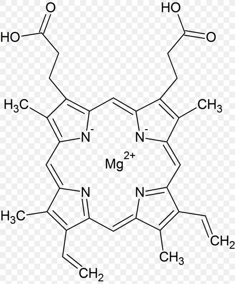 Chlorophyll Porphyrin Green Hemoglobin Structure, PNG, 847x1024px, Watercolor, Cartoon, Flower, Frame, Heart Download Free