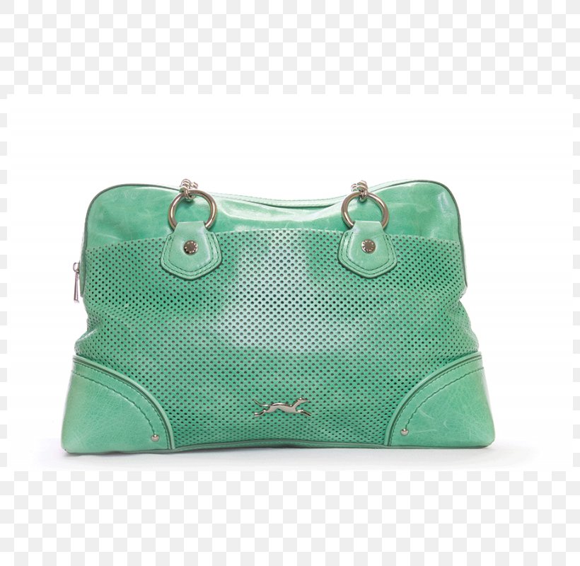 Handbag Coin Purse Leather Messenger Bags, PNG, 800x800px, Handbag, Bag, Coin, Coin Purse, Green Download Free