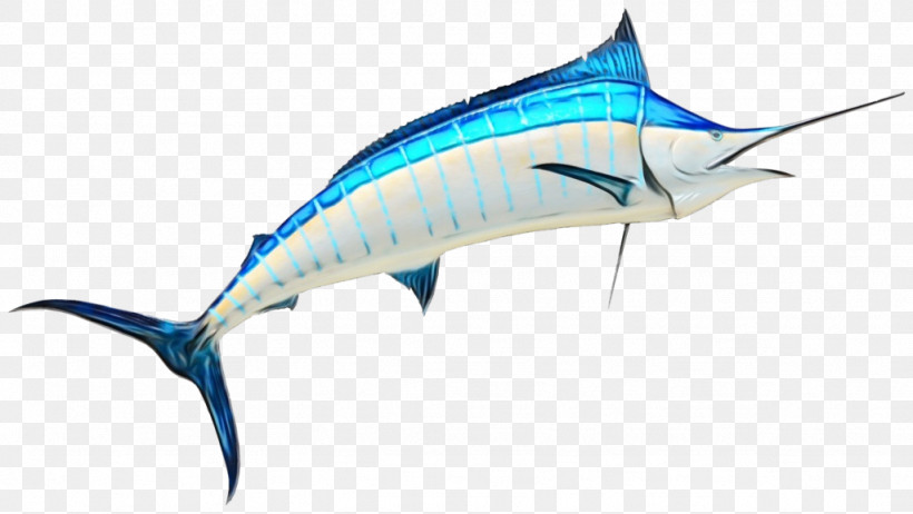 Swordfish Marlin Yellowfin Tuna Albacore Bigeye Tuna, PNG, 1024x577px, Watercolor, Albacore, Atlantic Bluefin Tuna, Bigeye Tuna, Billfish Download Free