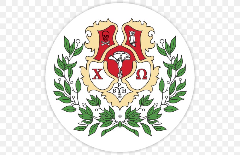 University Of Arkansas University Of South Florida Chi Omega National Panhellenic Conference Fraternities And Sororities, PNG, 530x529px, University Of Arkansas, Alpha Chi Omega, Chi Omega, College, Crest Download Free