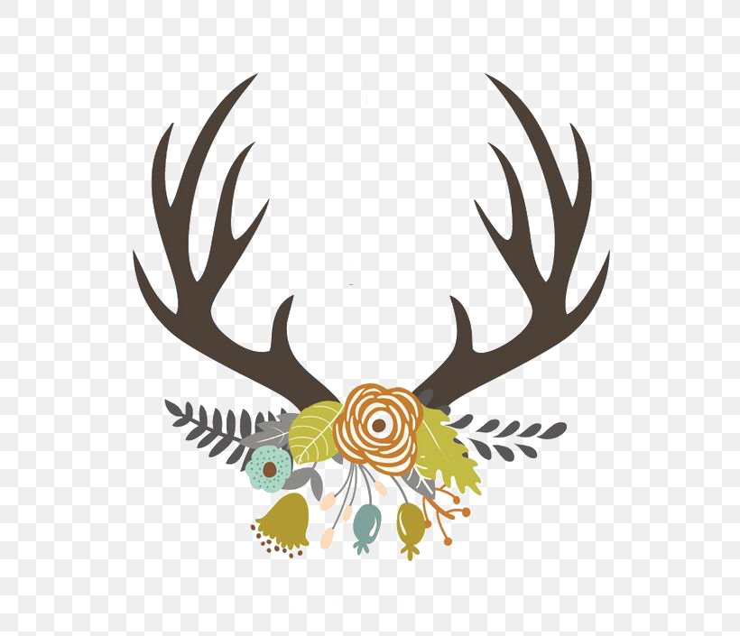 Reindeer Antler Clip Art, PNG, 564x705px, Deer, Antler, Autocad Dxf, Craft, Horn Download Free