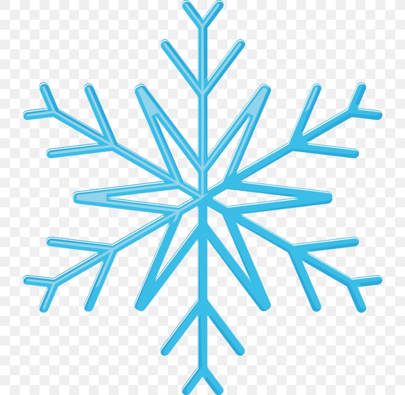 Snowflake, PNG, 800x800px, Snowflake, Blue, Christmas Ornament, Leaf, Point Download Free