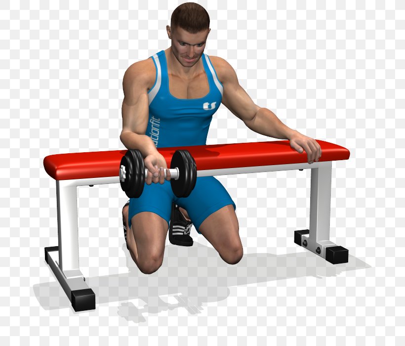 Wrist Curl Forearm Dumbbell Biceps Curl Bench, PNG, 700x700px, Watercolor, Cartoon, Flower, Frame, Heart Download Free