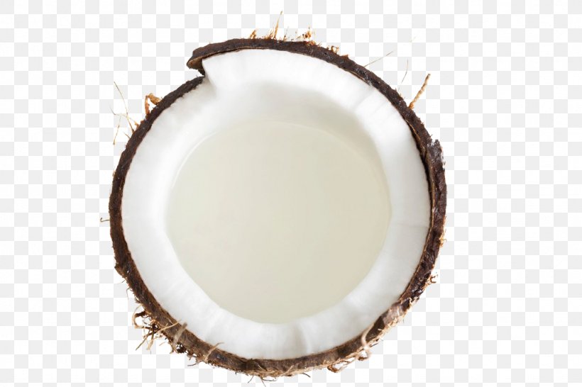 Coconut Milk Grated Coconut, PNG, 1024x683px, Coconut Milk, Coco Ubi Supply, Coconut, Corn Flakes, Cuisine Download Free