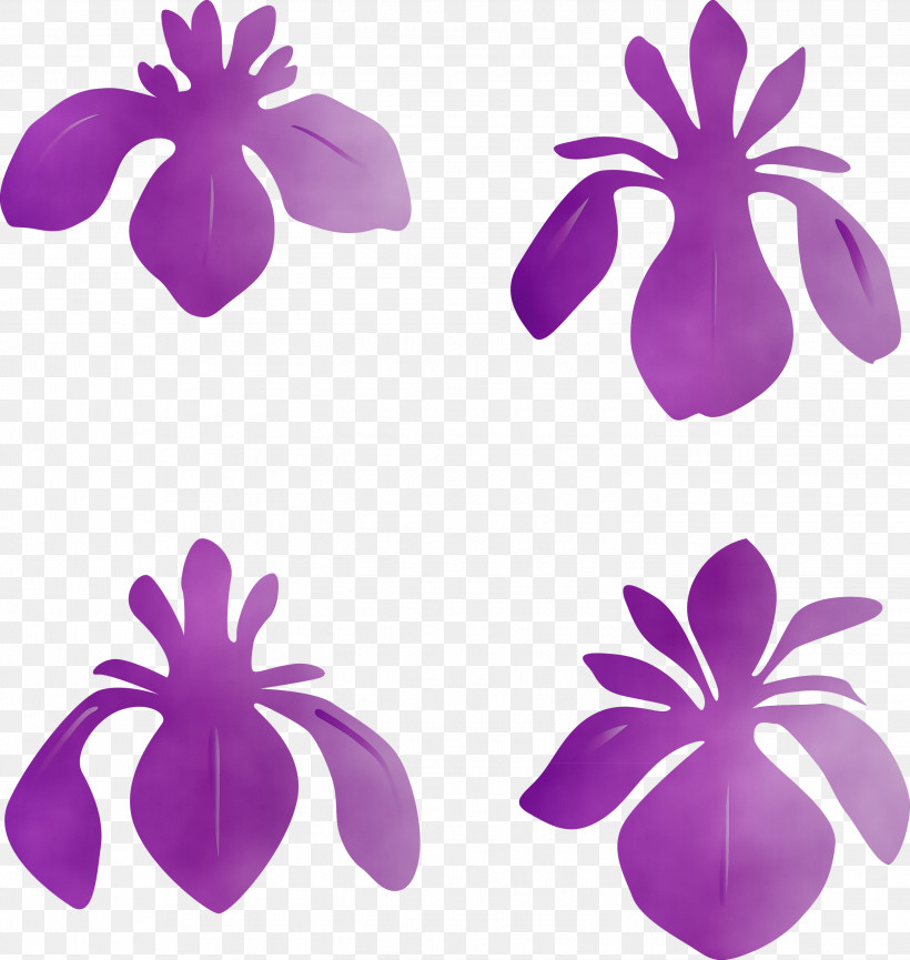 Purple Petal Violet Plant Flower, PNG, 2842x3000px, Iris Flower, Cattleya, Flower, Magenta, Paint Download Free