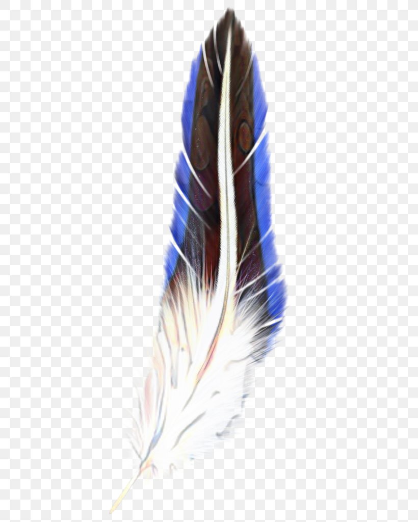 Writing Cartoon, PNG, 553x1024px, Cobalt Blue, Animal Product, Blue, Cobalt, Feather Download Free