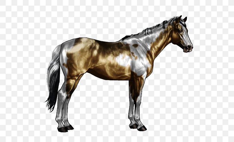 American Paint Horse Appaloosa Overo Roan Tobiano, PNG, 600x500px, American Paint Horse, Appaloosa, Buckskin, Chestnut, Dun Locus Download Free
