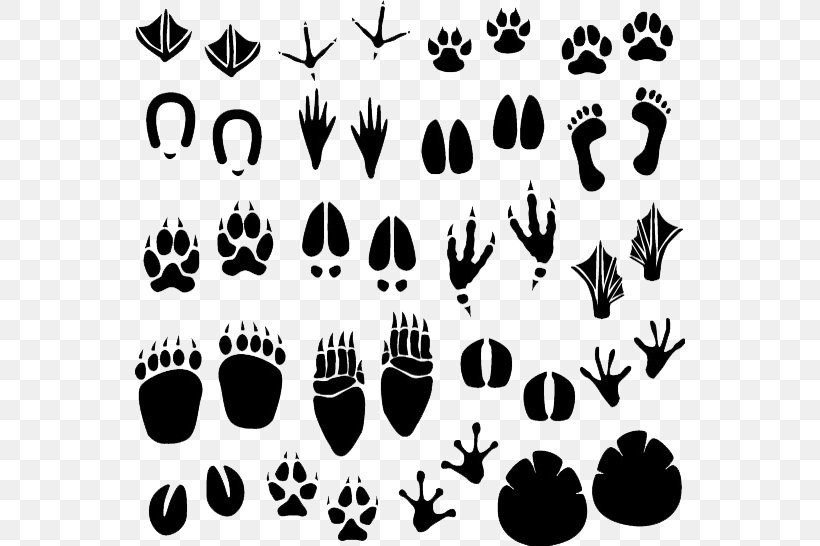 Footprint Animal Track Clip Art, PNG, 550x546px, Footprint, Animal, Animal Track, Black And White, Drawing Download Free