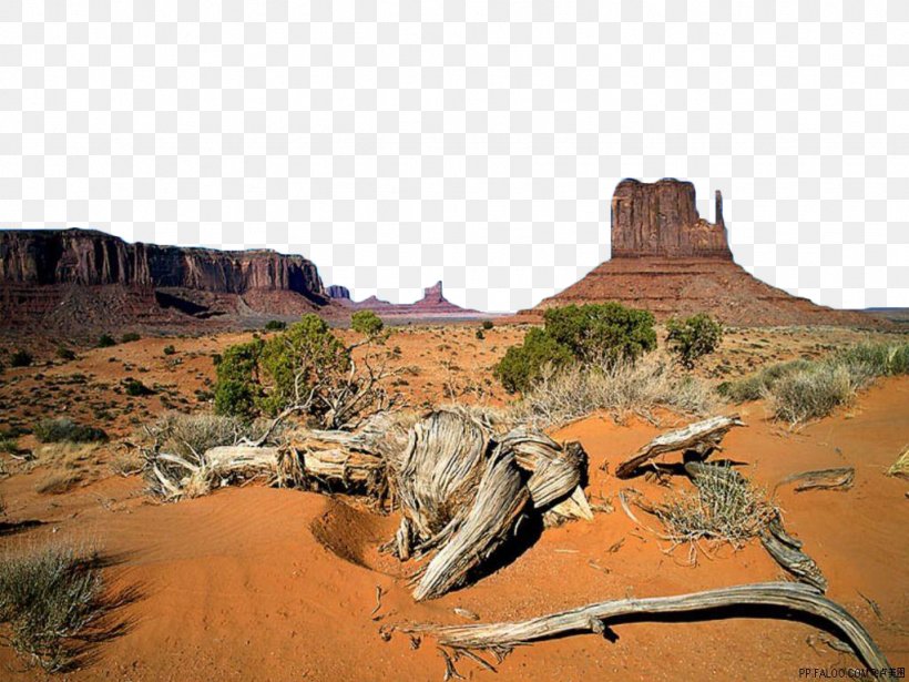 Oljato Monument Valley Tours West And East Mitten Buttes Totem Pole, PNG, 1024x768px, Oljato, Aeolian Landform, Arizona, Biome, Desert Download Free