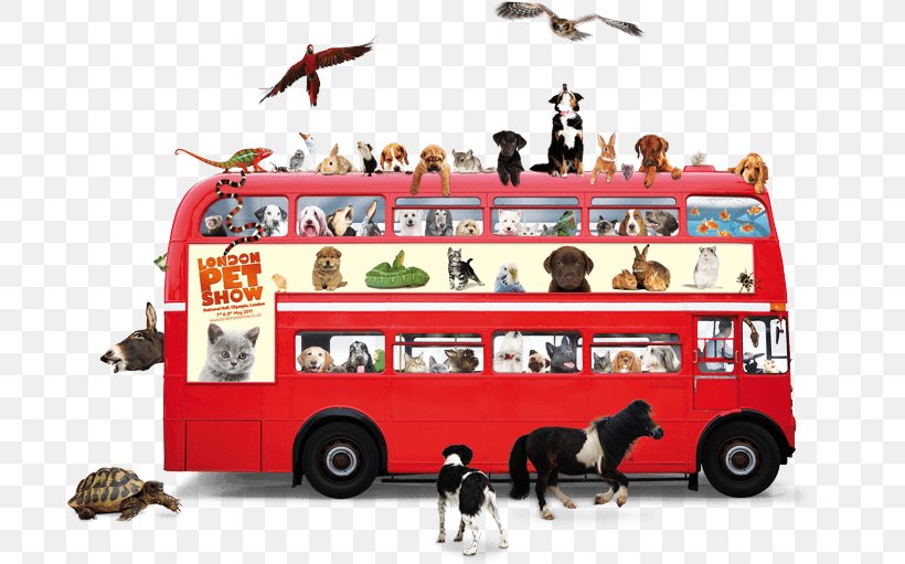 Dog Pet Double-decker Bus Animal Welfare, PNG, 698x511px, Dog, Animal Welfare, Bus, Double Decker Bus, Doubledecker Bus Download Free