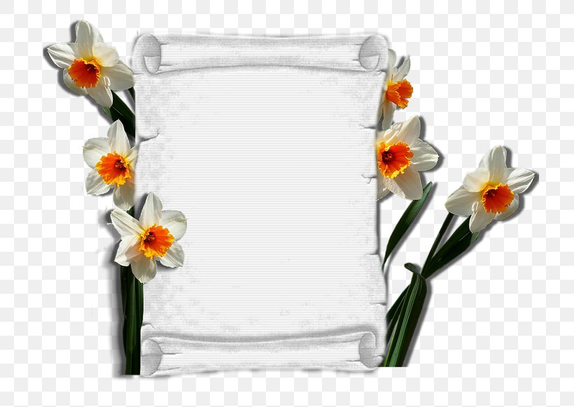 Floral Design Vase Cut Flowers, PNG, 800x582px, Floral Design, Cut Flowers, Floristry, Flower, Flowering Plant Download Free