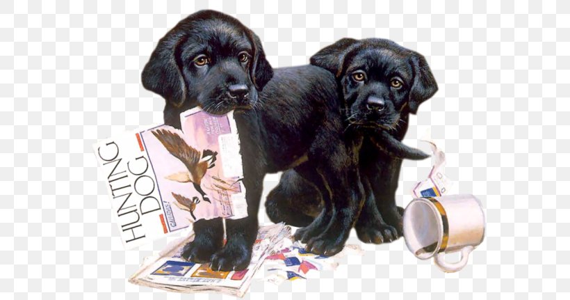 Labrador Retriever Puppy Cairn Terrier Dog Breed Nintendogs + Cats, PNG, 600x431px, Labrador Retriever, Animaatio, Animal, Cairn Terrier, Carnivoran Download Free