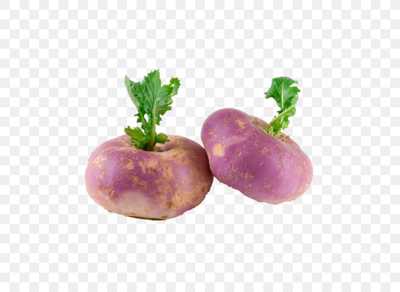 Turnip Cruciferous Vegetables Nutrition Root Vegetables, PNG, 600x600px, Turnip, Artichoke, Cabbage, Cauliflower, Cruciferous Vegetables Download Free