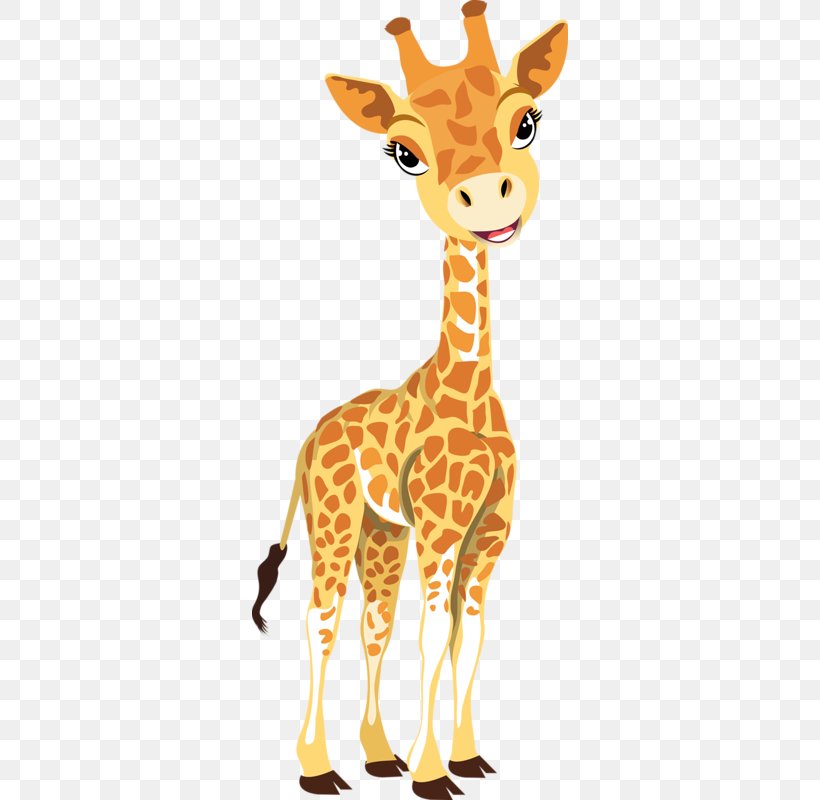 Baby Giraffes Cartoon Clip Art, PNG, 316x800px, Giraffe, Animal, Animal  Figure, Baby Giraffes, Cartoon Download Free