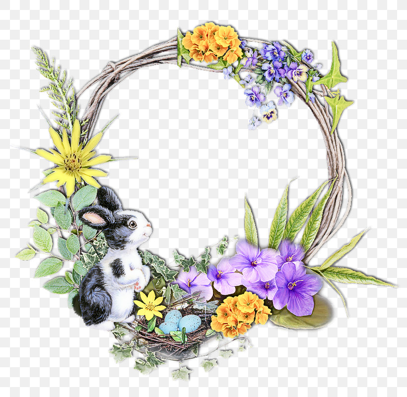 Flower Plant Wildflower Violet Family Viola, PNG, 800x800px, Flower, Crocus, Forgetmenot, Iris, Plant Download Free