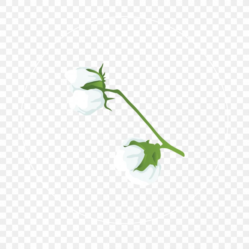 Green Leaf Background, PNG, 1250x1250px, Petal, Bellflower, Flower, Green, Leaf Download Free
