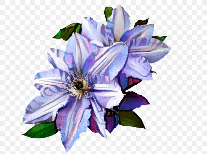 Leather Flower Lilac Blue, PNG, 1023x766px, Flower, Bellflower Family, Blue, Clematis, Flowering Plant Download Free