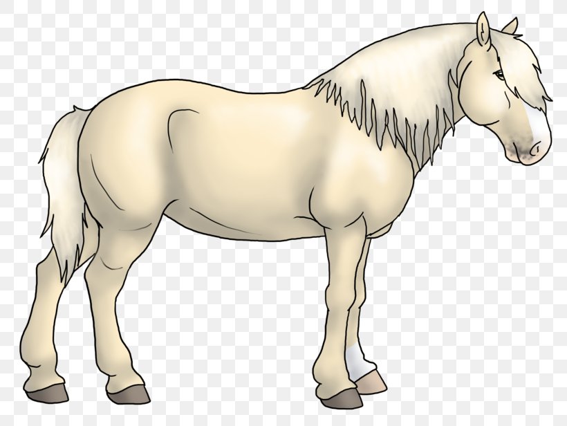 Mane Foal Stallion Mare Colt, PNG, 800x616px, Mane, Animal Figure, Bridle, Colt, Donkey Download Free