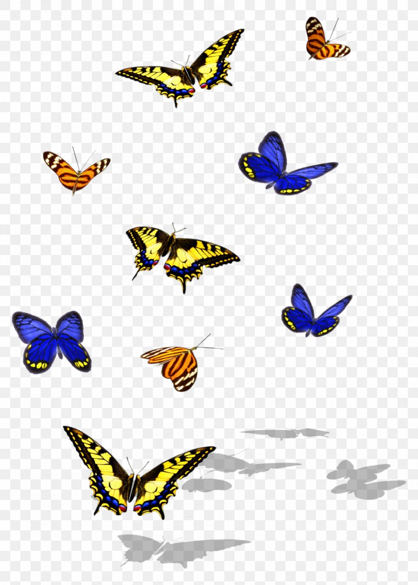 Monarch Butterfly Brush-footed Butterflies Insect Clip Art, PNG, 941x1317px, Monarch Butterfly, Arthropod, Brush Footed Butterfly, Brushfooted Butterflies, Butterfly Download Free