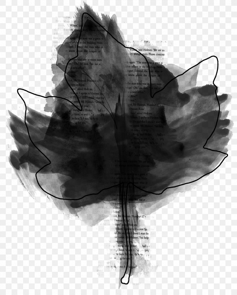 Ink Leaflets, PNG, 2369x2948px, Drawing, Black, Black And White, Flower, Ink Download Free