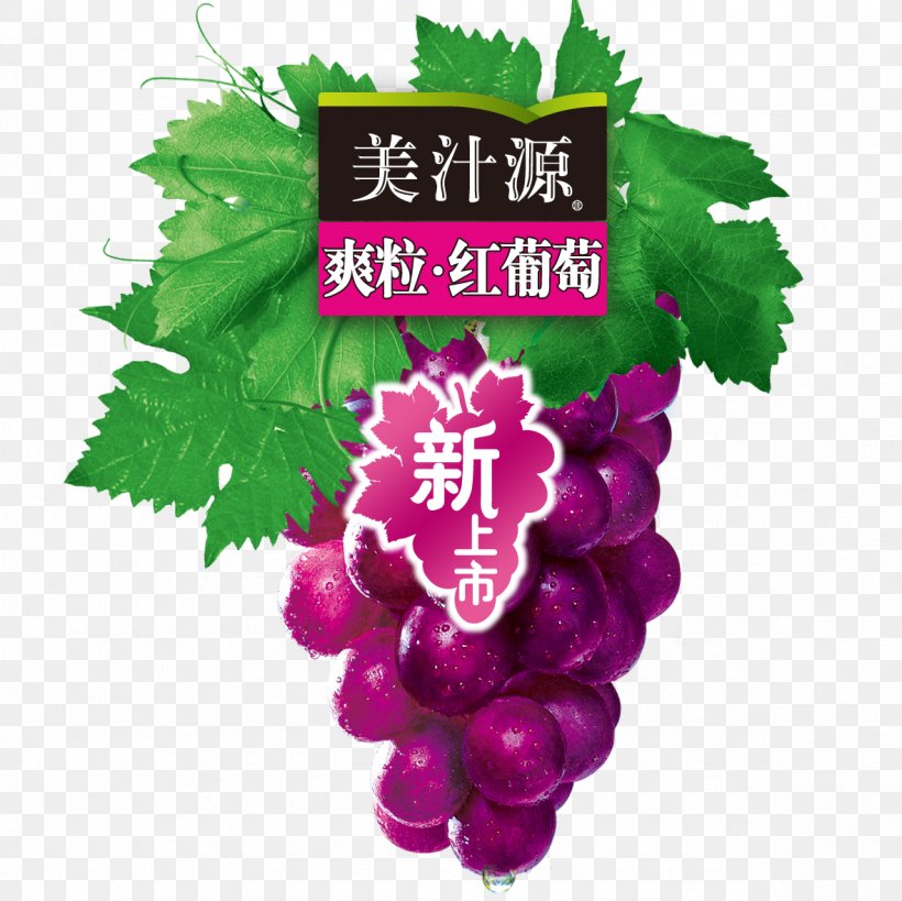 Its Grape Logo, PNG, 1181x1181px, Juice, Auglis, Coca Cola, Flowering Plant, Food Download Free
