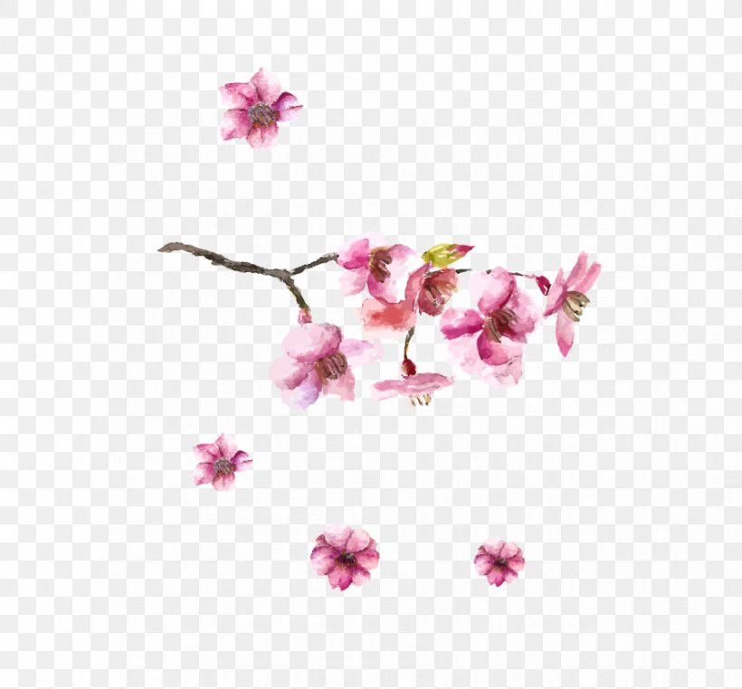 Japanese Art Cherry Blossom Drawing, PNG, 891x828px, Japan, Blossom, Branch, Cherry, Cherry Blossom Download Free