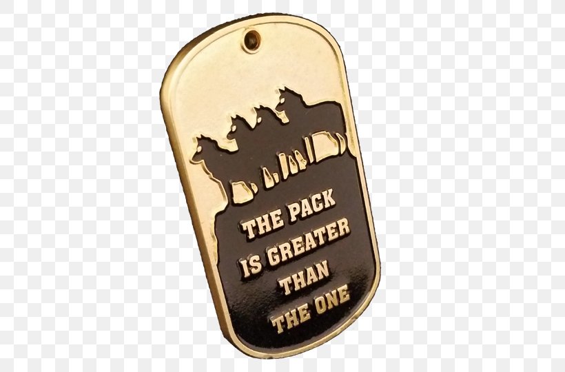 Challenge Coin Dog Tag Military United States Air Force, PNG, 540x540px, Challenge Coin, Brand, Chain, Coin, Dog Tag Download Free