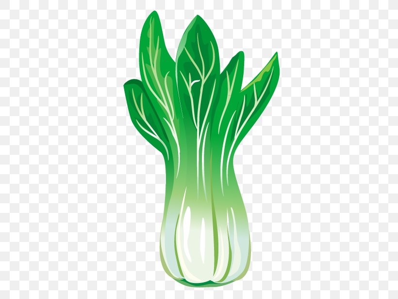 Chinese Cabbage Leaf Vegetable, PNG, 713x618px, Cabbage, Bok Choy, Brassica, Brassica Oleracea, Cabbage Family Download Free