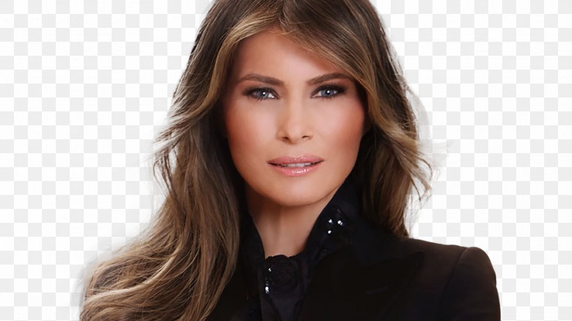 Melania Trump White House First Lady Of The United States President Of The United States Musician, PNG, 986x555px, Watercolor, Cartoon, Flower, Frame, Heart Download Free