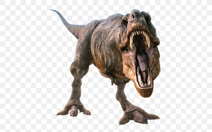 Tyrannosaurus Velociraptor Dinosaur, PNG, 500x510px, 3d Computer Graphics, Tyrannosaurus, Animal, Color, Computer Graphics Download Free