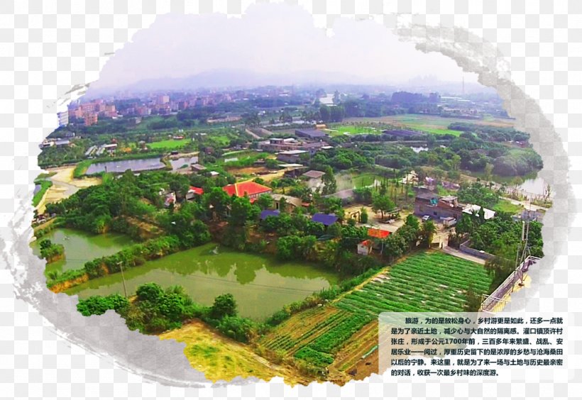 Urban Design Hill Station Water Resources Tree Bird's-eye View, PNG, 1064x732px, Urban Design, City, Hill Station, Land Lot, Landscape Download Free