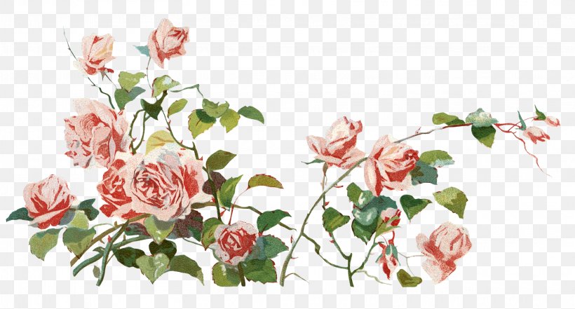 Garden Roses Clip Art, PNG, 3231x1738px, Garden Roses, Artificial Flower, Avatar, Blossom, Branch Download Free