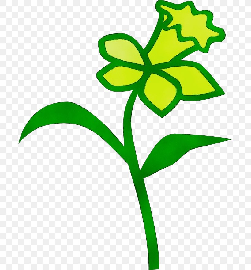 Green Clip Art Leaf Plant Pedicel, PNG, 700x881px, Watercolor, Flower, Flowering Plant, Green, Leaf Download Free