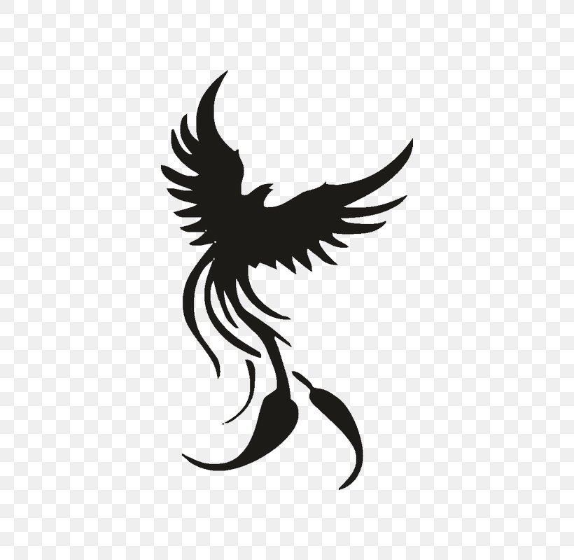 Minotaur Legendary Creature Mythology Pegasus, PNG, 800x800px, Minotaur, Beak, Bird, Black And White, Dragon Download Free