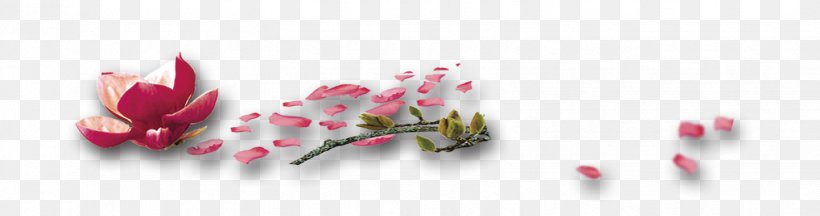 Petal Cut Flowers Leaf, PNG, 1441x381px, Petal, Blossom, Bud, Cut Flowers, Designer Download Free