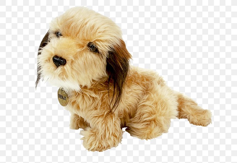 Puppy Cockapoo Dog Breed Poodle Schnoodle, PNG, 670x564px, Puppy, Allegro, Basset Hound, Carnivoran, Cavachon Download Free