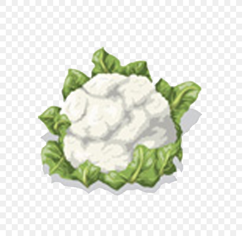 Cauliflower Vegetable Clip Art, PNG, 800x800px, Cauliflower, Broccoli, Cabbage, Cartoon, Chinese Cabbage Download Free