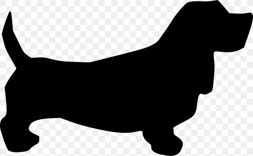 Norfolk Terrier Basset Hound Cairn Terrier Jack Russell Terrier Boston Terrier, PNG, 2110x1301px, Norfolk Terrier, Animal, Basset Hound, Boston Terrier, Cairn Terrier Download Free