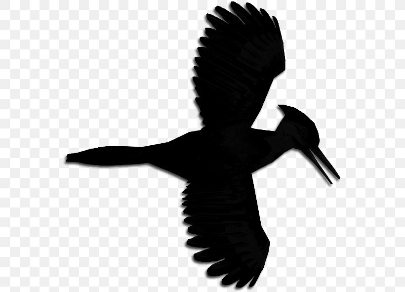 Swans Beak Goose Bird Duck, PNG, 571x591px, Swans, Beak, Bird, Coraciiformes, Duck Download Free